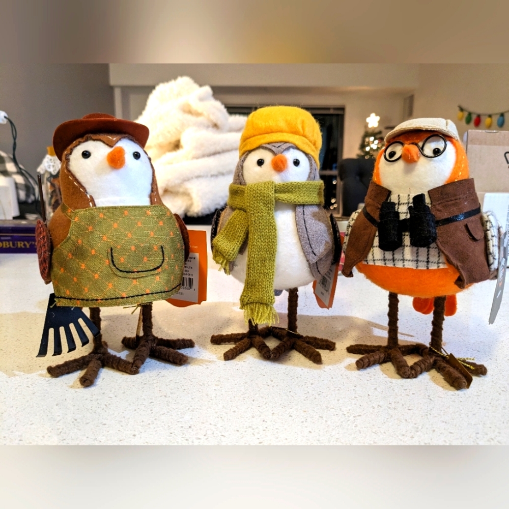 Target Birds Featherly Friends, Fall 2021 🍂